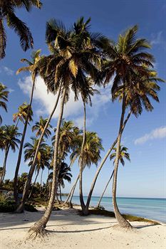 Emerald Palms Hotel