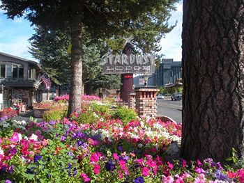 Stardust Lodge