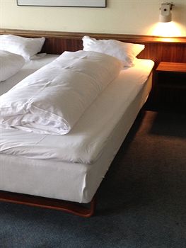 Hotel Mercur