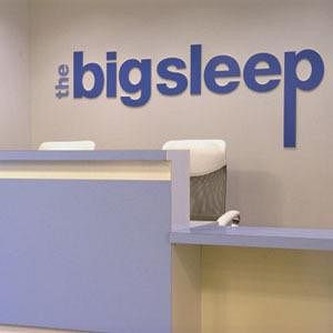 Big Sleep Hotel