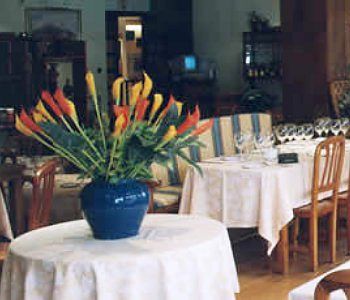 Hotel Arcea Los Lagos