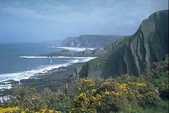 Bude Haven Hotel