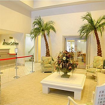 Palm Canyon Resort