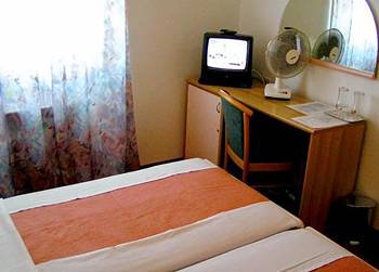 Hotel Borovnik