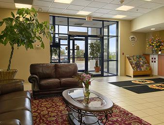 Super 8 Mississauga