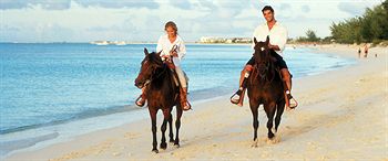 Coral Gardens on Grace Bay