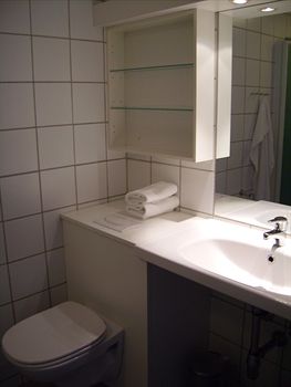 Ribe Byferie
