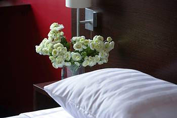 Dodo Hotel