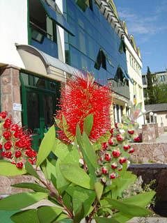 Hotel Kerber Podgorica