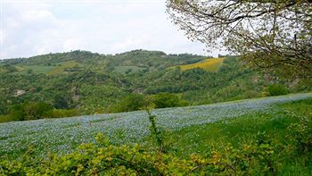 Alla Madonna Del Piatto