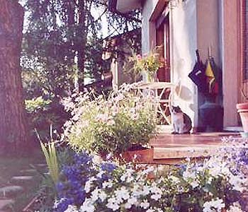 La Casa nei Pini