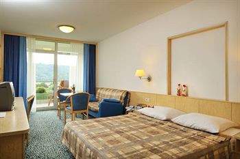 Hotel Svoboda