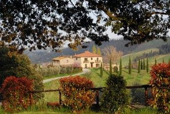 Fattoria Voltrona