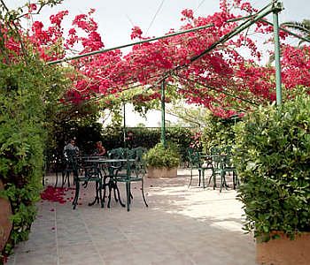 Summery Hotel