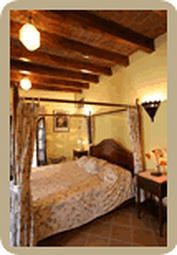 Suite La Hacienda