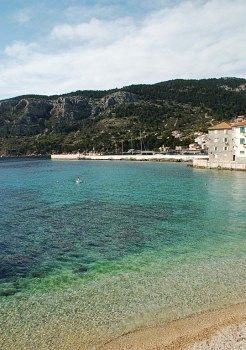 Provita