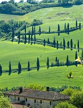 Hotel Tre Stelle