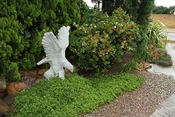 Araluen Cottage - Self Catering