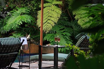 Palms Wilderness Retreat