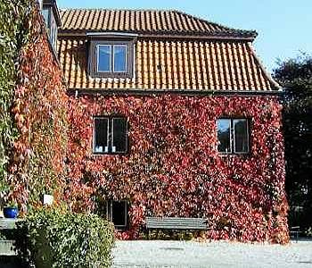Pension ElmehÃ¸j