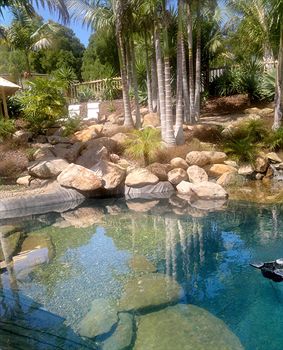 Avalon Resort
