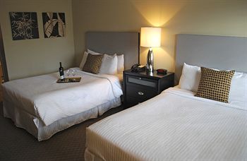 Sole Inn and Suites