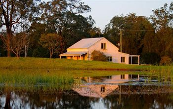 Madigan Vineyard