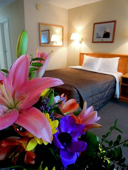 Homestead Inn Banff