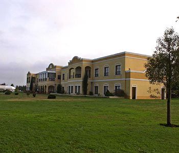 Polo Hotel Resort & Spa