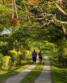 Daku Resort