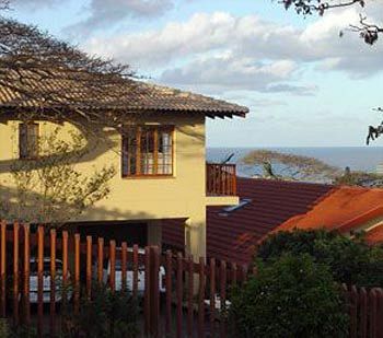 Umbrella Tree House