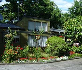 The Green House on the Hill