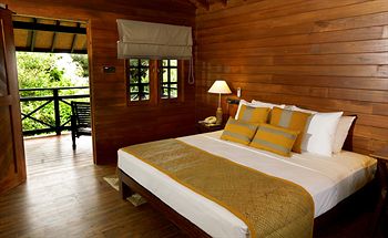 Cinnamon Wild Yala