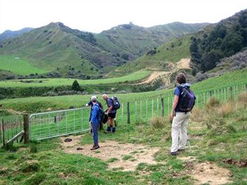 Stratford Heritage Lodge - Backpacker