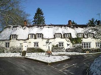 The Brace of Pheasants - Inn