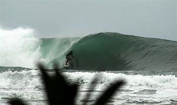 Cafe Playa Negra
