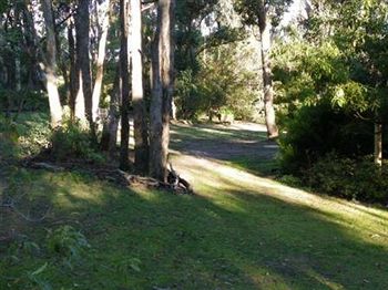 Kalimna Woods Cottages