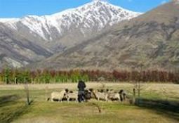 Queenstown Country Lodge