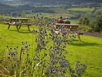 Netherby House Hotel