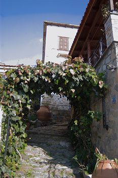 Mansion Terpou