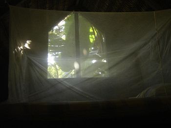 Omshanty Jungle Lodge