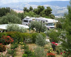 The Olive Branch Hotel