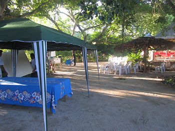 The Mangrove Garden