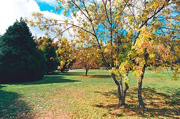 Federation Gardens & Possums Hideaway