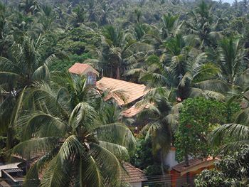 Manvin's Inn Calangute