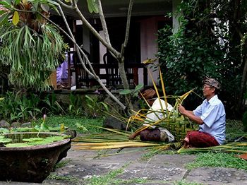 Gunung Merta Bungalows
