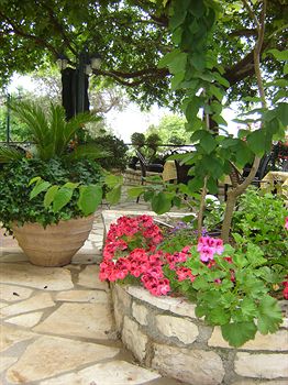 Vassilis House