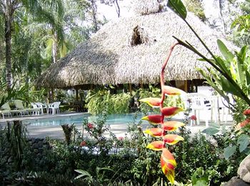 Hotel La Palapa EcoLodge Resort