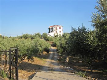 Elaionas Studios