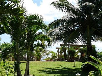 Tropical Sands